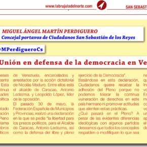 Unión en defensa de la democracia en Venezuela